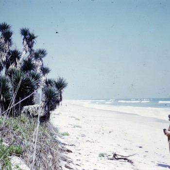 Photo of Alice Persyn